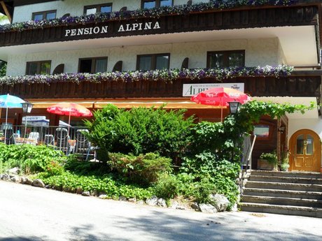 Pension Alpina